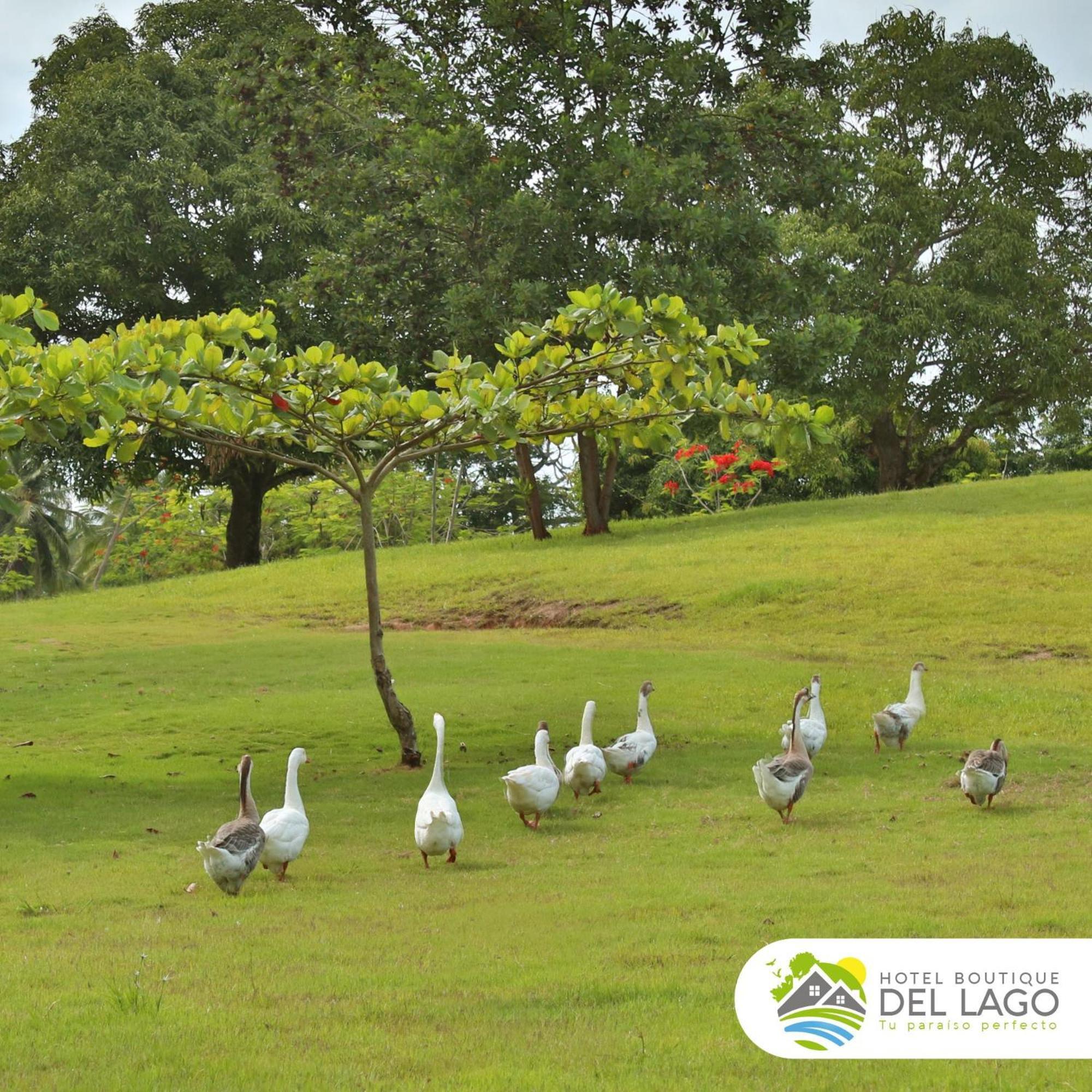 Hotel Boutique Del Lago Nagua Exteriör bild